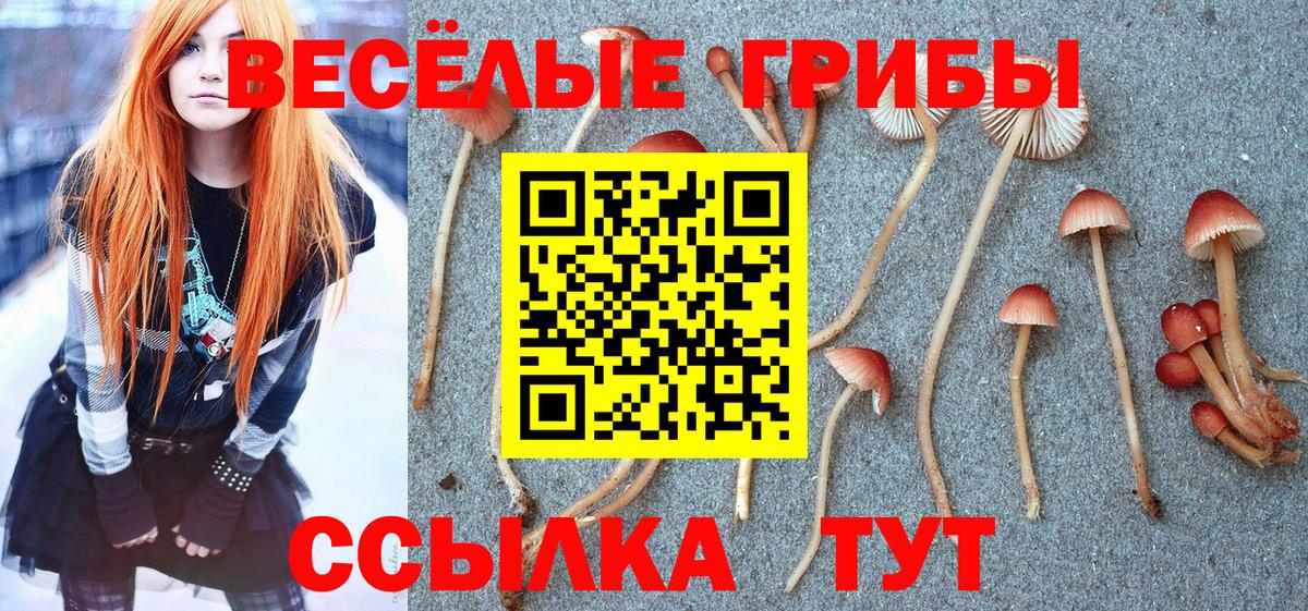 Галлюциногенные грибы мухоморы  Вход с VPN  Орёл 